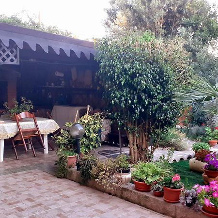 B&B Giomar Sardegna Nord Ovest Campanedda ภายนอก รูปภาพ