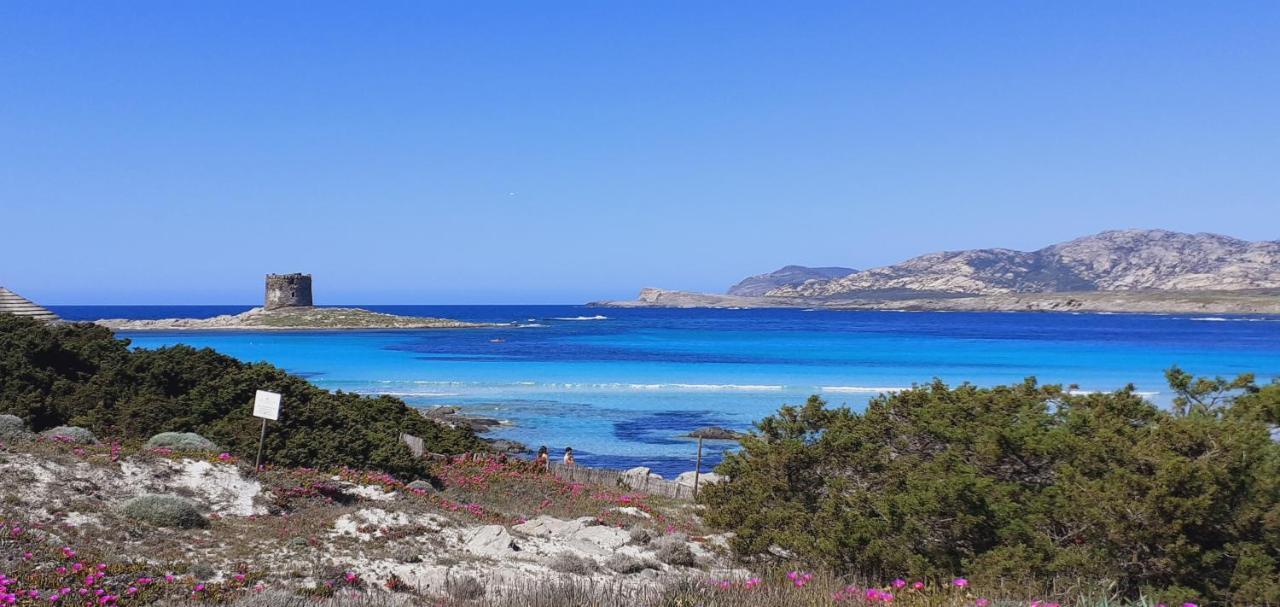B&B Giomar Sardegna Nord Ovest Campanedda ภายนอก รูปภาพ